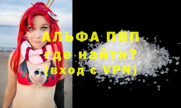 прущие грибы Зерноград