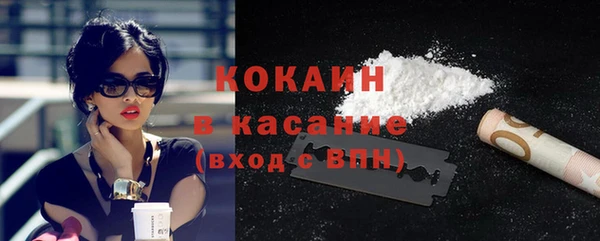 прущие грибы Зерноград