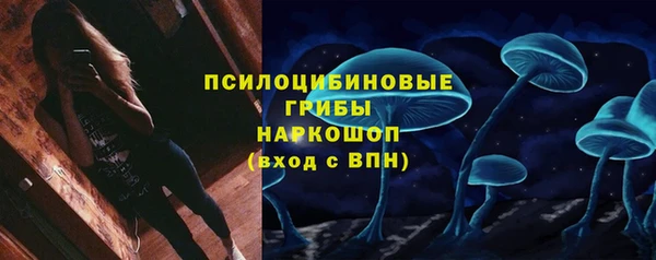 МДПВ Заволжск