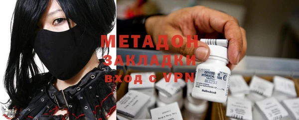прущие грибы Зерноград