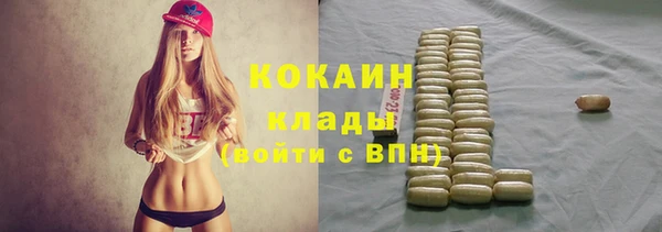 мдпв Заводоуковск