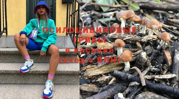 PSILOCYBIN Зеленокумск