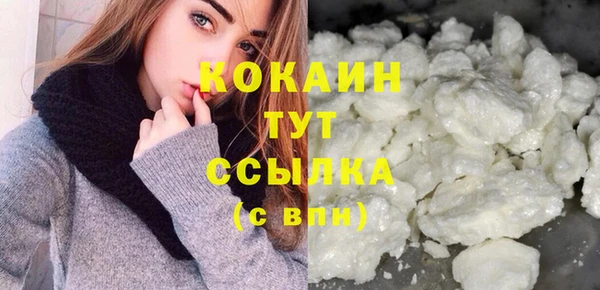 прущие грибы Зерноград