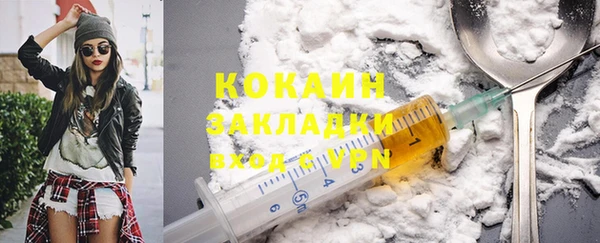 прущие грибы Зерноград