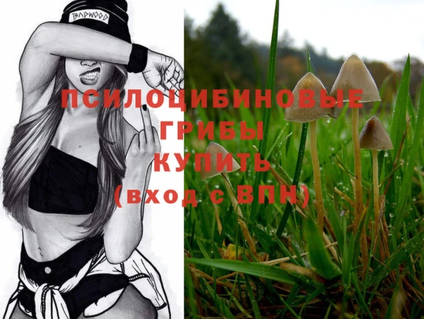 PSILOCYBIN Зеленокумск