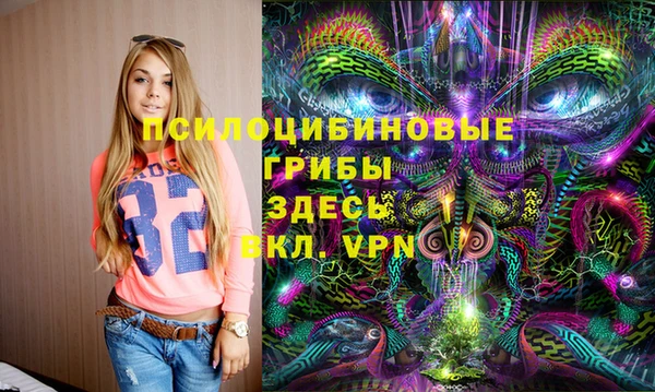 МДПВ Заволжск