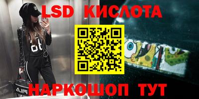 индика Лесосибирск