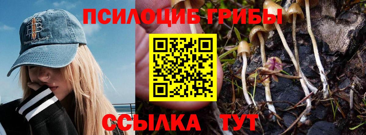 Галлюциногенные грибы Psilocybine cubensis  Галлюциногенные грибы GOLDEN TEACHER  Ивантеевка  наркота  Вход с VPN 