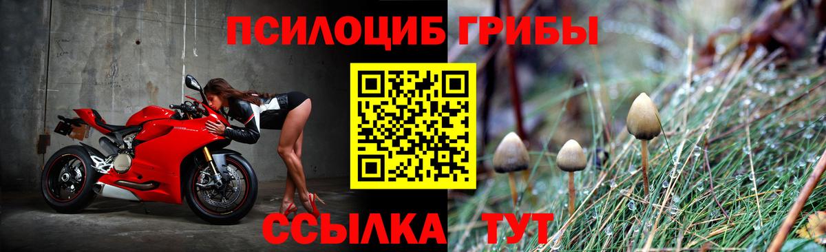 Галлюциногенные грибы Cubensis Ивантеевка